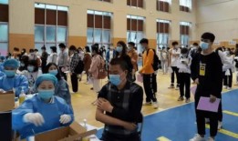 石家庄滑道爆料最新消息,惊险刺激背后的安全疑云揭晓