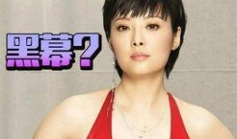 袁立爆料最新消息,揭秘娱乐圈惊人内幕！